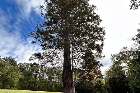 فيينا جولة خاصة سيراً على الأقدام عبر الريف الجبلي