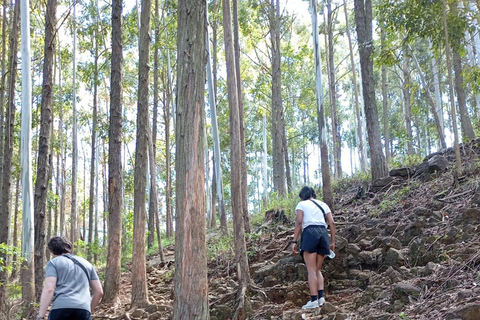 Ella: Tuk-Tuk-tur med Little Adam's Peak och vattenfall