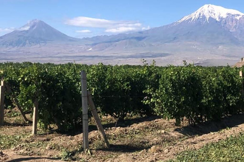 Excursión privada de un día en invierno a Khor Virap, Garni y Geghard