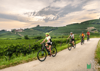Goriška brda, E-Bike Tour with local guide - Housity