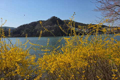 Seoul: Hallyu Nami Island Day Trip with romantic Train