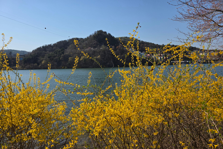 Seoul: Hallyu Nami Island Day Trip with romantic Train
