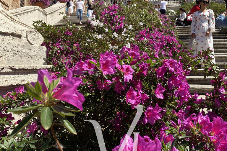 Civitavecchia: Rome Highlights Tour for Cruise Passengers PRIVATE VAN