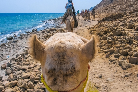 Z Sharm: wycieczka Dahab, jeepem, kanionem, wielbłądem, quadem i snorkelingiem