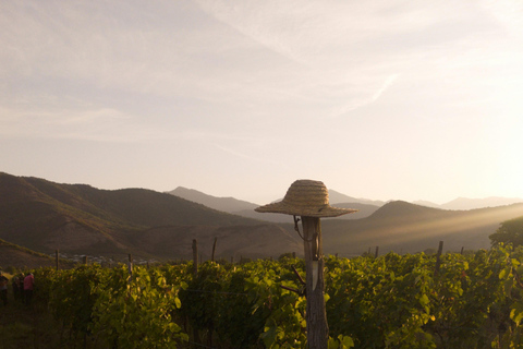 Tbilisi: 5-Day Private Guided Tour with Wine Tasting