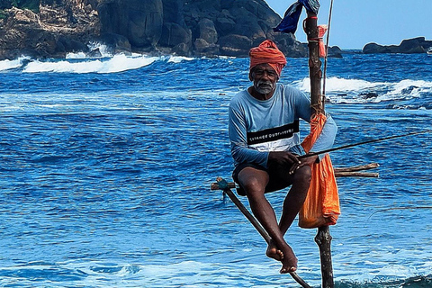 Private Whale Watching Day Tour from Colombo to Mirissa
