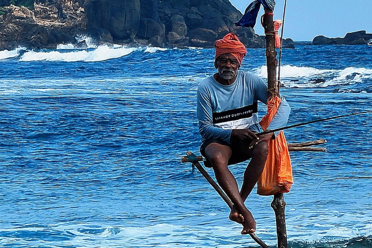 Private Whale Watching Day Tour from Colombo to Mirissa