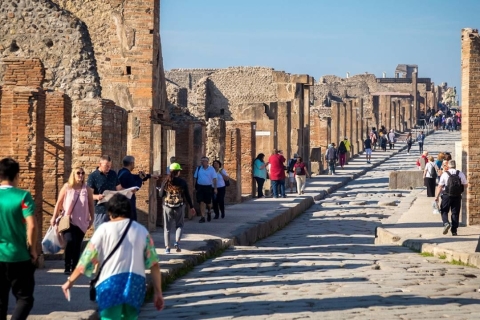 Visite privée de Pompéi, Herculanum et du Vésuve