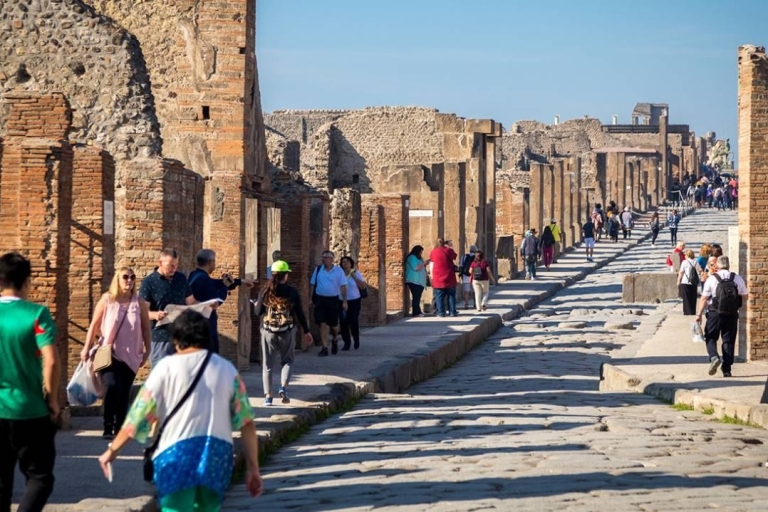 Visite privée de Pompéi, Herculanum et du Vésuve