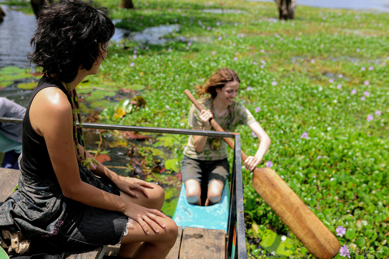 Kandy To Sigiriya & Dambulla Tour With Village Experience