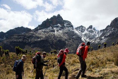 Nairobi: 5-Day Mount Kenya Climbing Tour via Sirimon Route