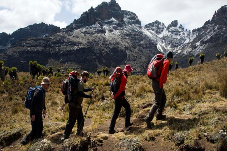 Nairobi: 5-Day Mount Kenya Climbing Tour via Sirimon Route