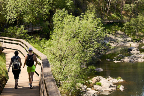 From Porto: Arouca 516 and Paiva Walkways Guided Day Trip