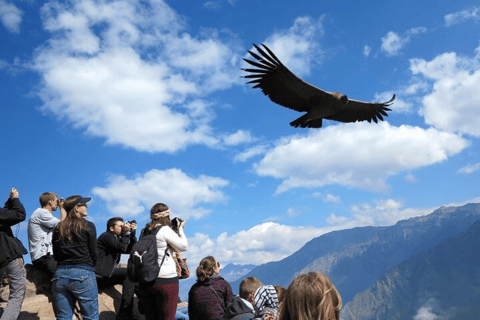 Journée à Colca + transfert à Puno