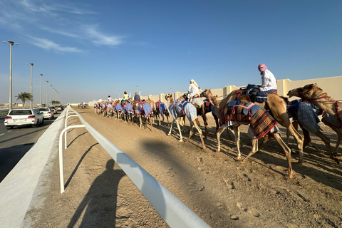 Doha: West Qatar Art, Rock Formations, and Camel Racing