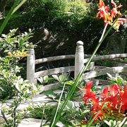 Waterford: Lafcadio Hearn Japanese Gardens Entry Ticket Waterford: Lafcadio Hearn Japanese Gardens Entry Ticket