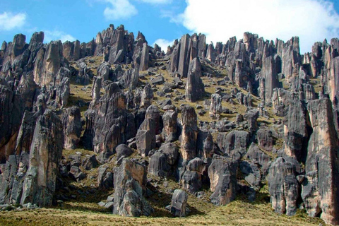 Hele dag Pillones waterval en rotsbos