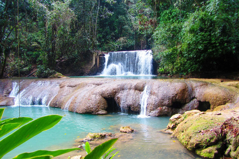 Black River Safari and Ys Falls Tour and Transportation From Falmouth/ Trelawny