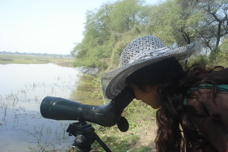 Parque Nacional Keoladeo Guía de tickets electrónicos Traslados en RickshawParque Nacional Keoladeo: Ticket electrónico con traslados en calesa