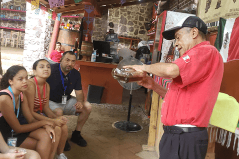 Puerto Vallarta: Tour della città