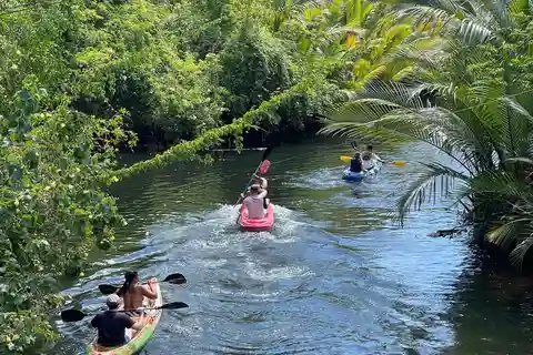 Kayaking tour around green cathedral