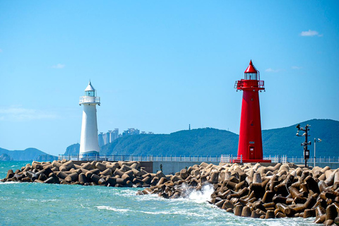 Busan & Gyeongju Highlights 2 Days Combo Tour from Busan