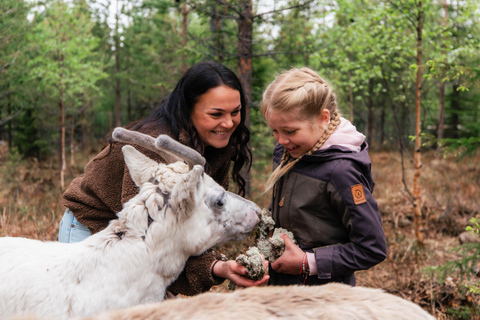 Rovaniemi: Taava Reindeer Farm Visit & Sleigh Ride
