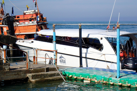 Phuket/Khao Lak: Similan Scuba Dive Day Trip by Speedboat MV Wave Rider | Surin Islands and Richelieu Premium 2-Dive