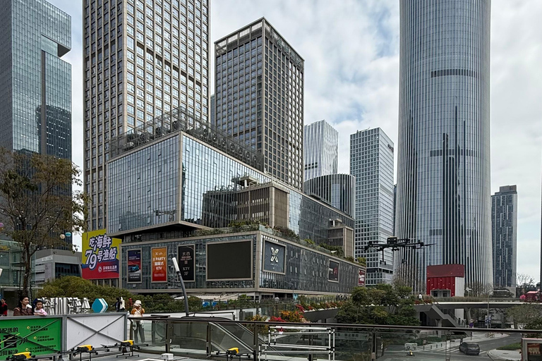 Shenzhen: Customizable Private Tour with Guide