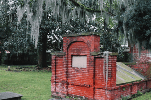 Savannah: Wycieczka piesza śladami historii