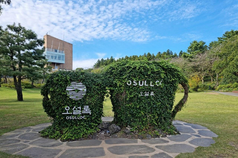 Jeju: South & West Coast Highlights Small Group Day Tour