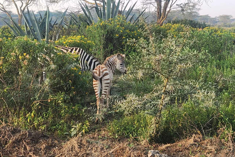 Nairobi: Lake Naivasha & Hell’s Gate National Park Day Trip