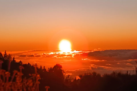 Tenerife: Excursión Exclusiva Teide-Masca-Garachico