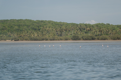 Maputo: Portuguese Island, Inhaca Island & Santa Maria Tour
