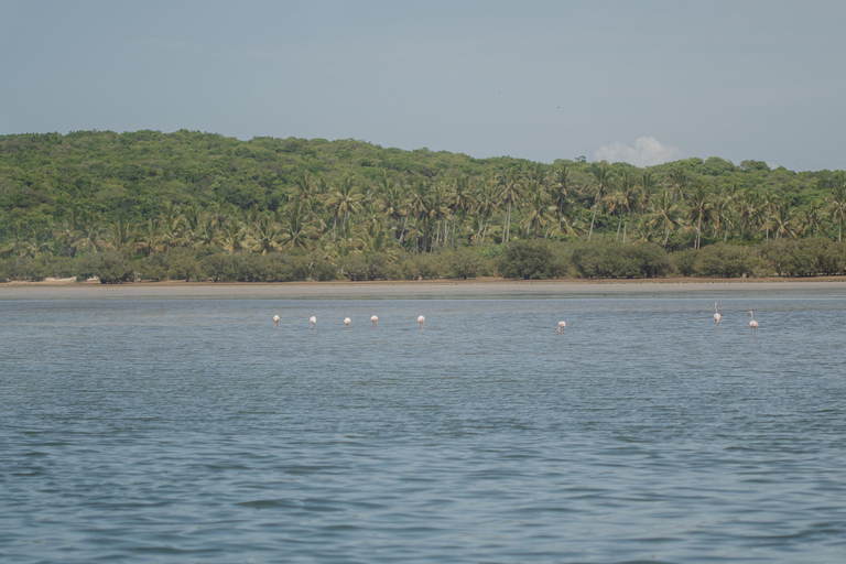 Maputo: Portuguese Island, Inhaca Island & Santa Maria Tour