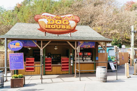 Pigeon Forge: biglietto d'ingresso al parco tematico DollywoodBiglietto d'ingresso per 1 giorno al parco a tema Dollywood