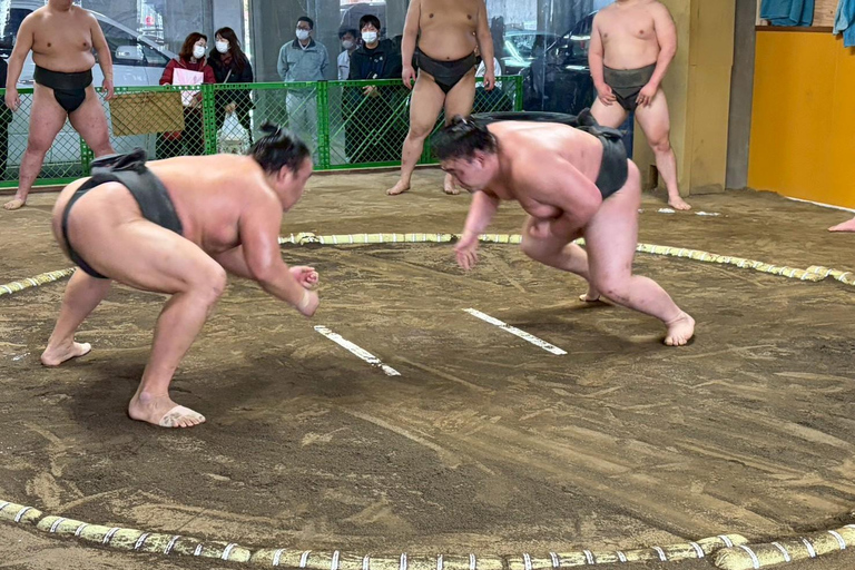 Nagoya: Authentic Sumo Morning Practice (July Match)