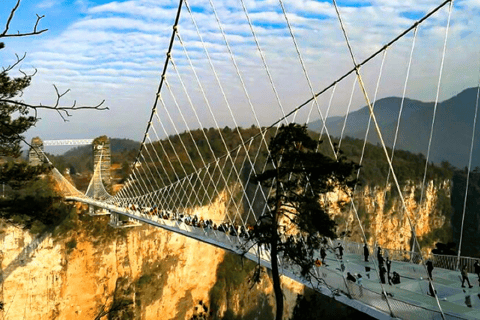 Zhangjiajie must see Avatar Mountain& glass bridge day tour Zhangjiajie Avatar Mountain& glass bridge from Zhangjiajie