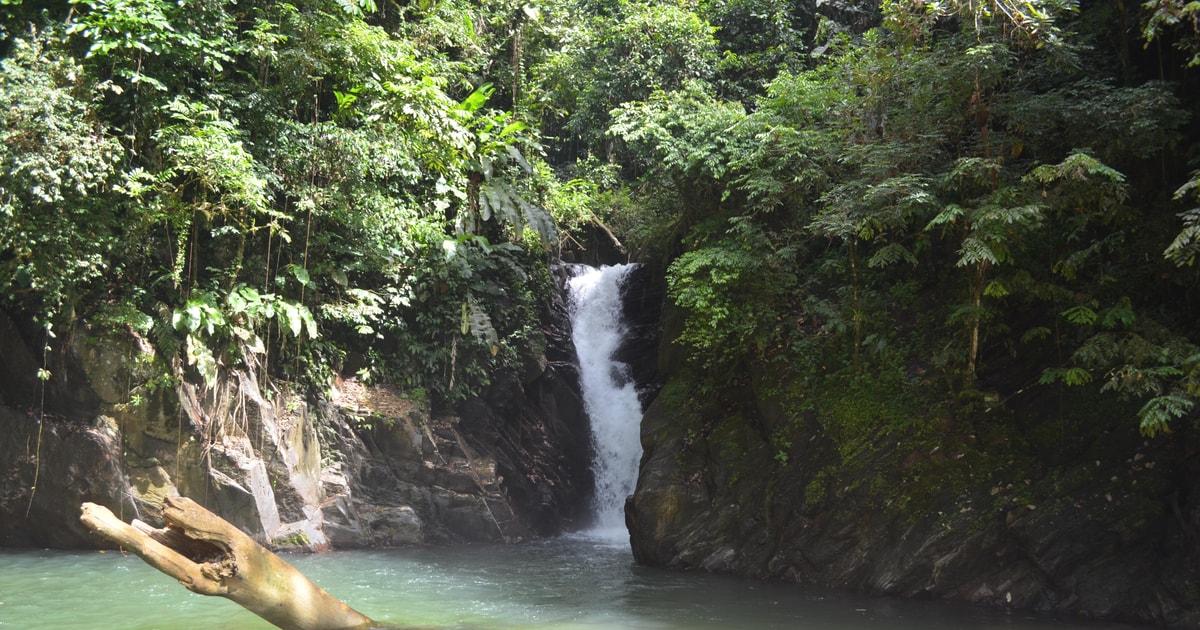 Trinidad: Wandeling Paria waterval | GetYourGuide