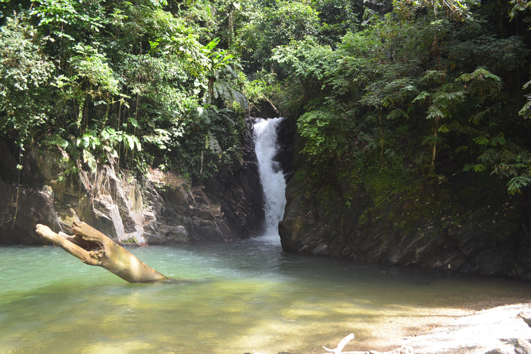 Trinidad: Excursión a la Cascada de Paria