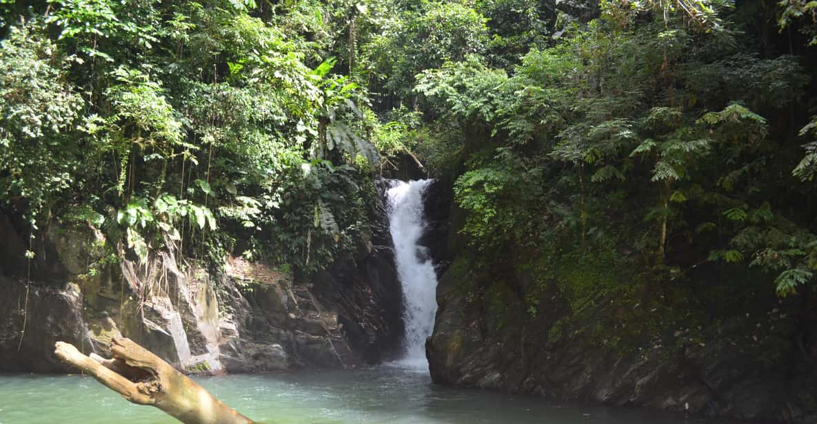 Trinidad: Excursión a la Cascada de Paria | GetYourGuide