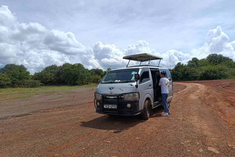 Masai Mara from Nairobi Transfer