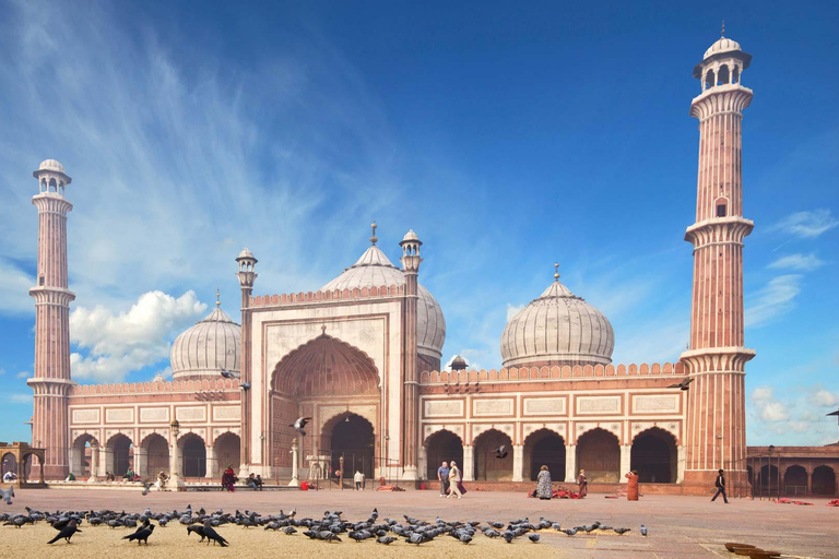 Delhi: Private 8-Hour Tour of New Delhi