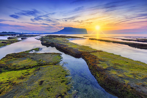 Tour privato in auto a Jeju per gli ospiti in battello