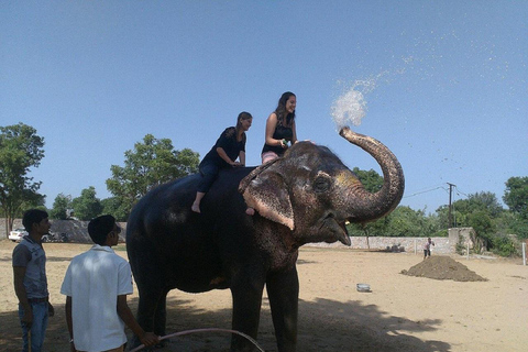 Jaipur: Hathigao Elephant Village Ride, Feeding, & Photos Riding, Feeding, Climbing And Photography with Elephant
