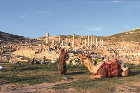 Excursion privée d&#039;une journée à Umm Qais et Pella au départ d&#039;AmmanTOUR SEULEMENT