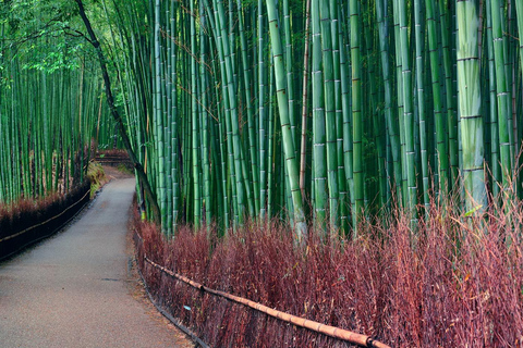 Kyoto: Private Luxury Tour With Vehicle (Customizable)