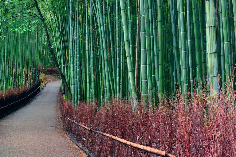 Kyoto: Private Luxury Tour With Vehicle (Customizable)