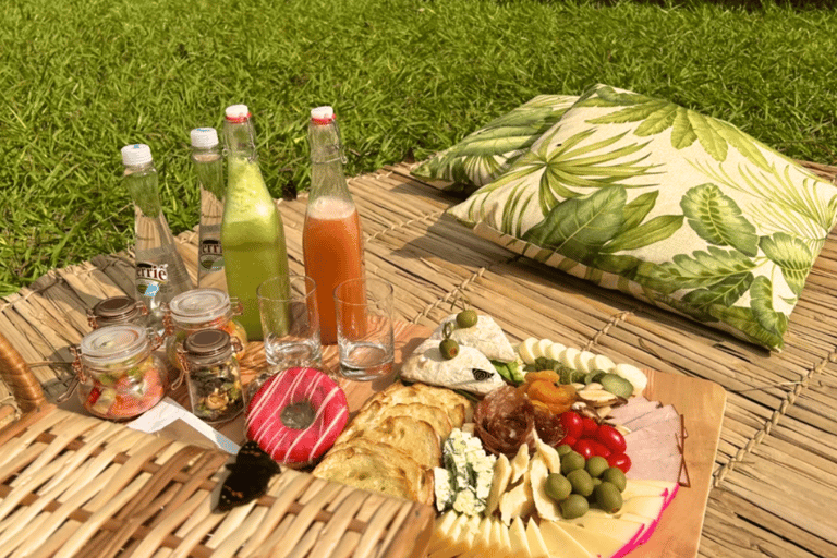 Från Foz do Iguaçu: Picknick vid Iguazufallen