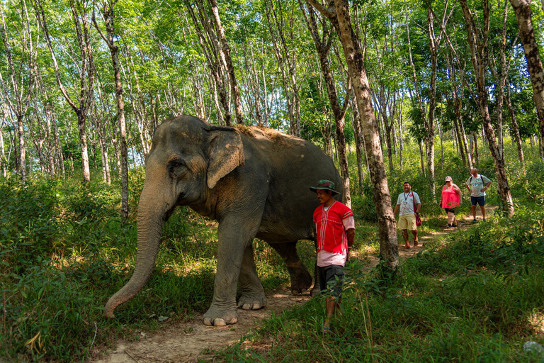 Depuis Phuket : quad, tyrolienne, rafting et faune à Khao LakFrom Phuket: Khao Lak ATV, Zipline, Rafting &amp; Wildlife Tour